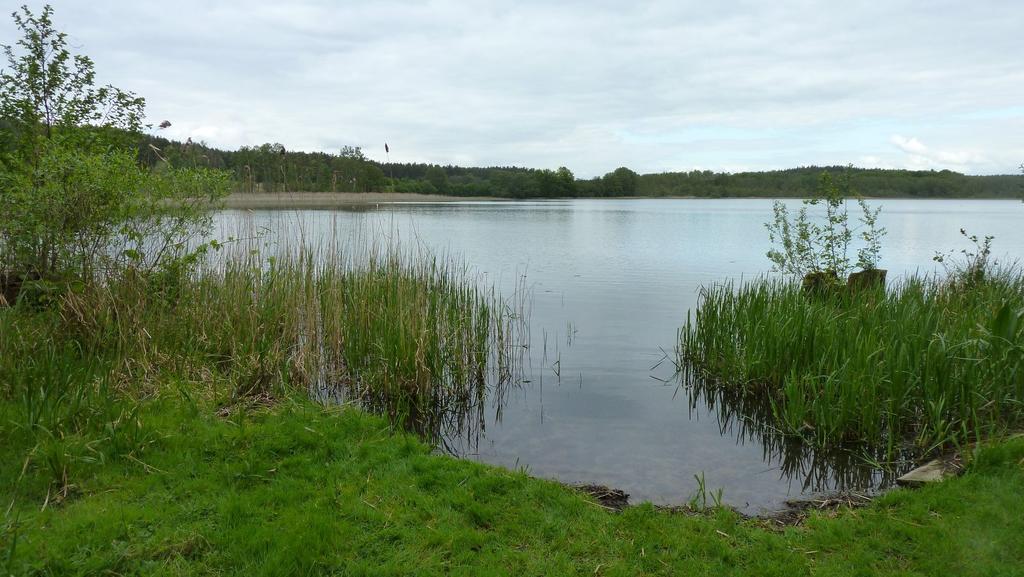 Bungalow Am Kuestrinsee Bei Lychen Buitenkant foto