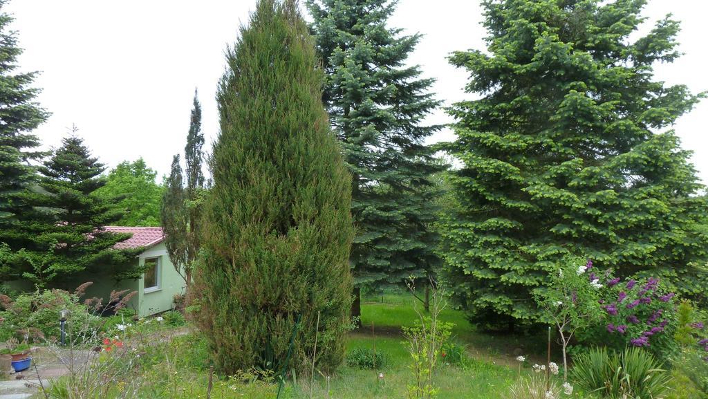 Bungalow Am Kuestrinsee Bei Lychen Buitenkant foto
