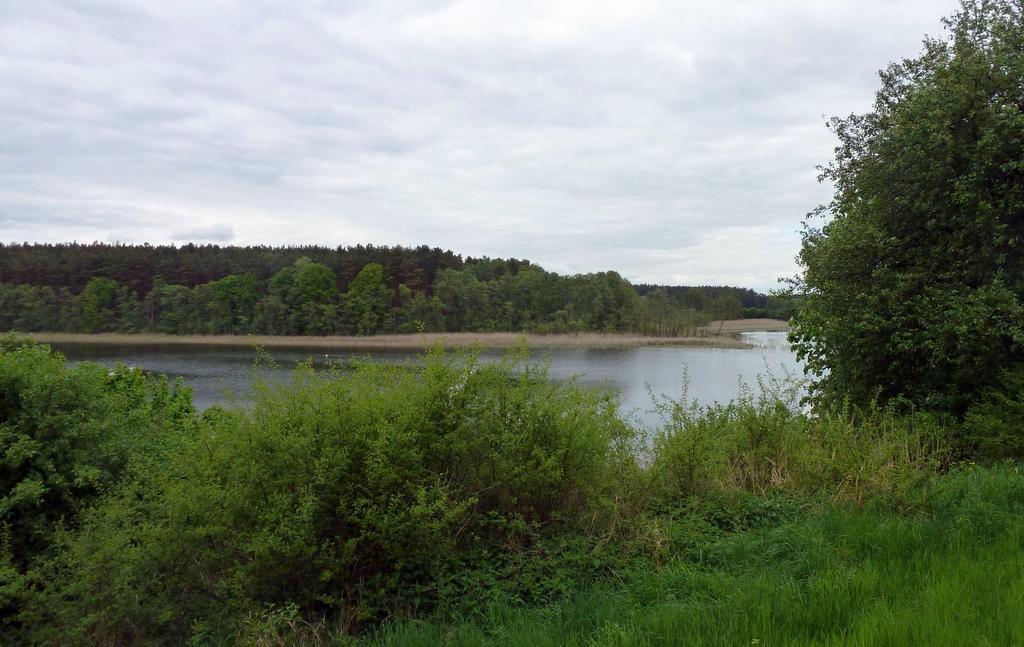 Bungalow Am Kuestrinsee Bei Lychen Buitenkant foto